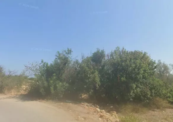 Land In Vrachasi, Greece
