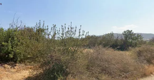 Land In Vrachasi, Greece