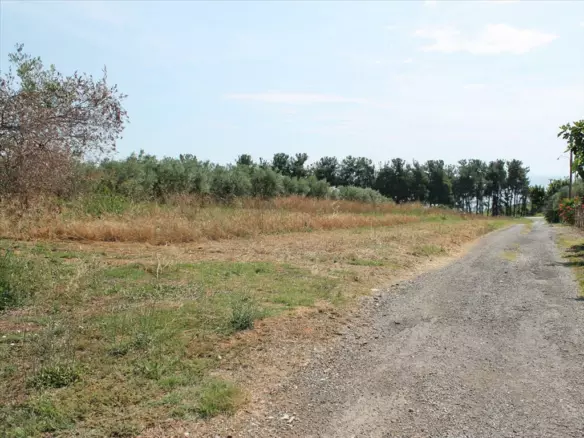 Land In Kolindros, Greece
