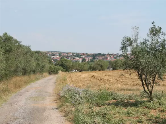 Land In Kolindros, Greece