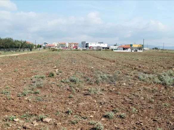 Land In Poligiros, Greece