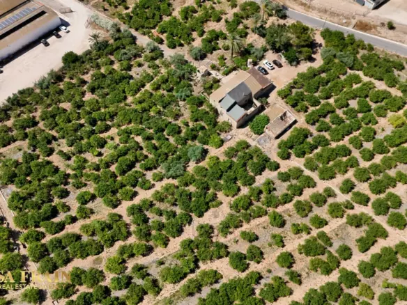 4-bedroom Property In Orihuela, Spain (409 M²)