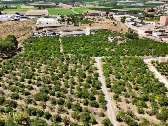 4-bedroom Property In Orihuela, Spain (409 M²)