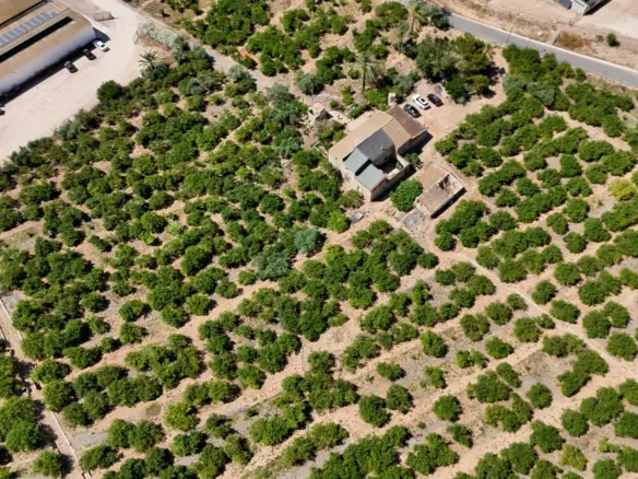 4-bedroom Property In Orihuela, Spain (409 M²)