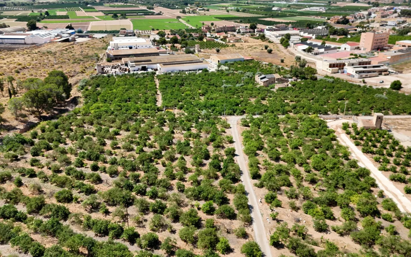 4-bedroom Property In Orihuela, Spain (409 M²)