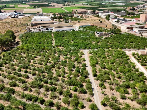 4-bedroom Property In Orihuela, Spain (409 M²)