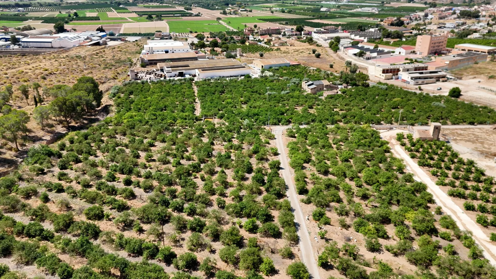 4-bedroom Property In Orihuela, Spain (409 M²)
