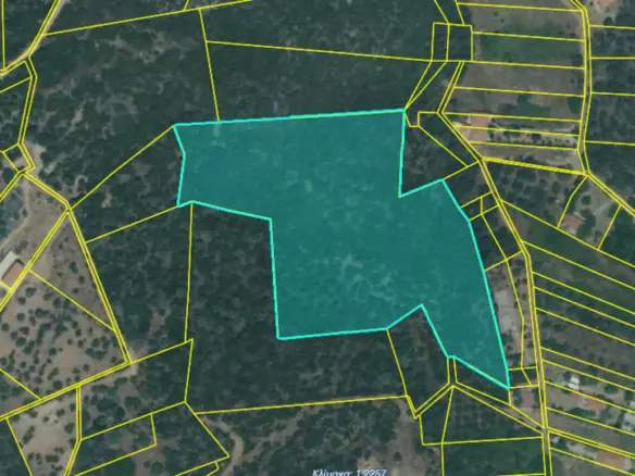 Land In Aristotle, Greece