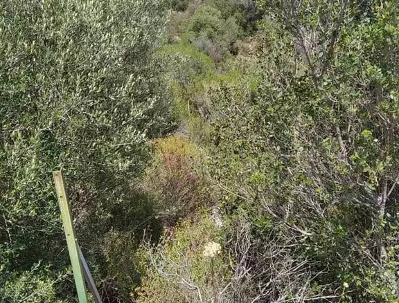 Land In Sithonia, Greece