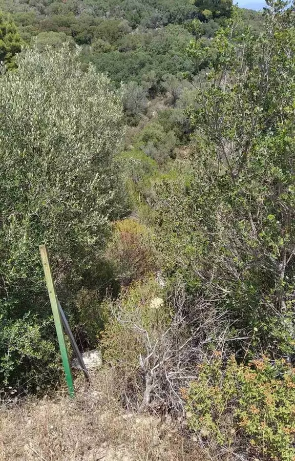 Land In Sithonia, Greece