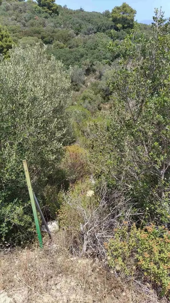 Land In Sithonia, Greece