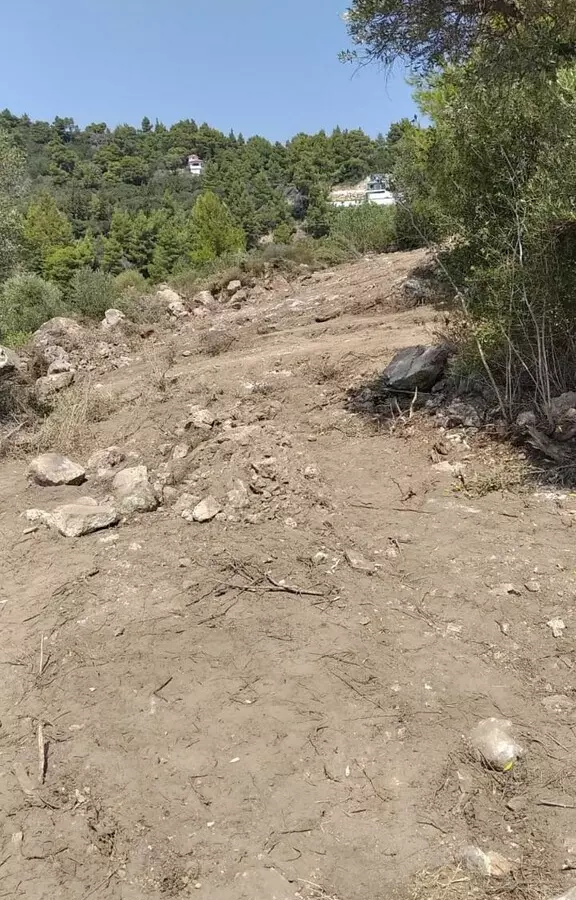 Land In Sithonia, Greece