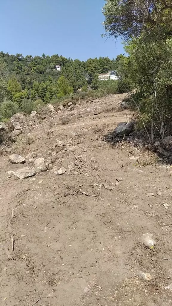 Land In Sithonia, Greece