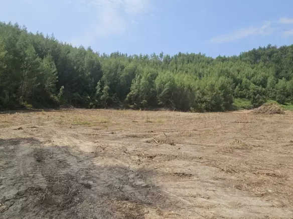 Land In Kassandra, Greece