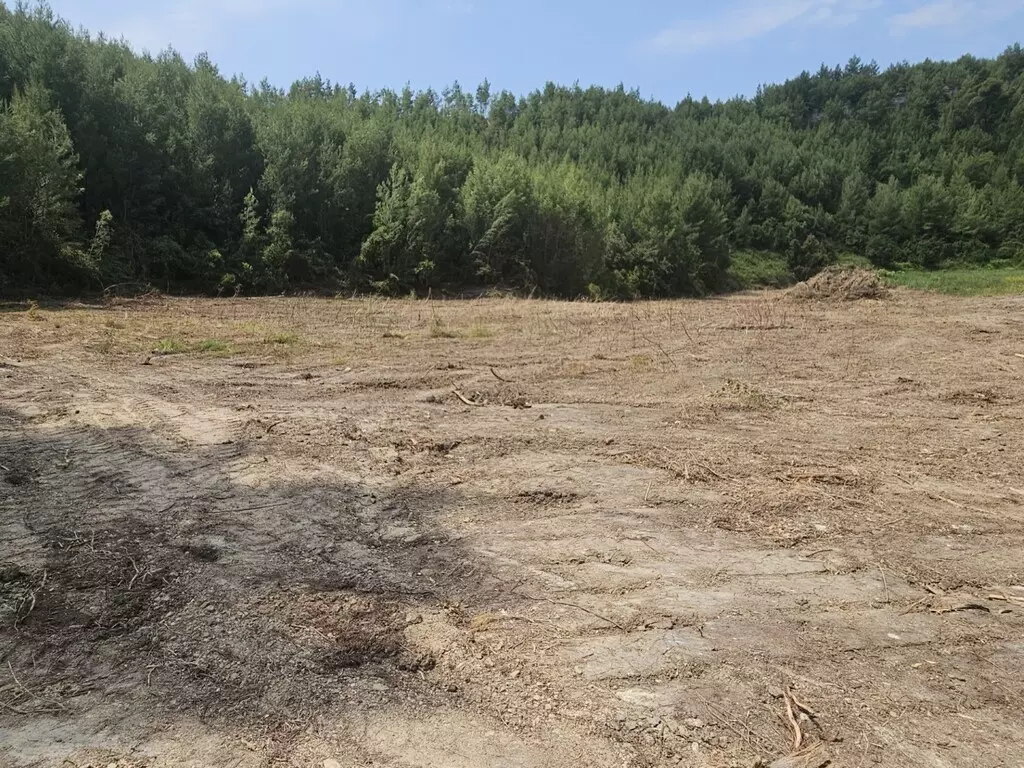 Land In Kassandra, Greece