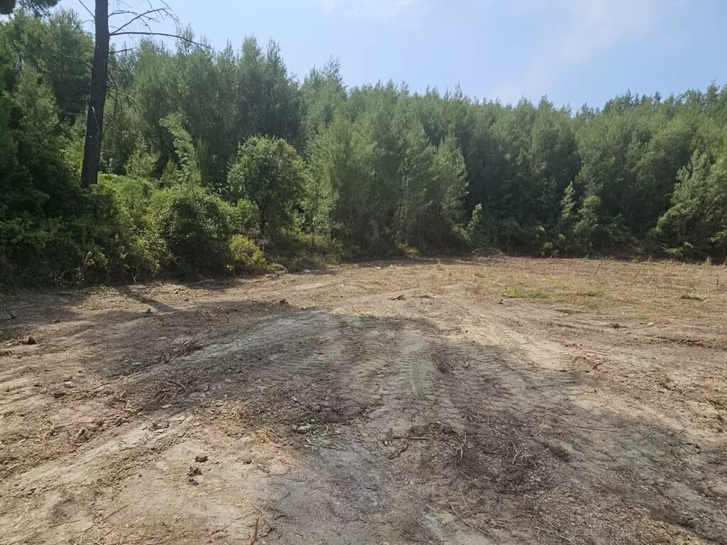 Land In Kassandra, Greece