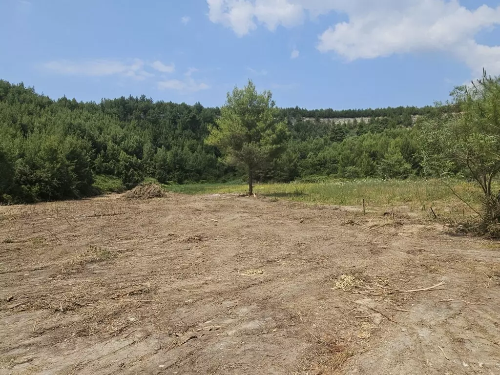 Land In Kassandra, Greece