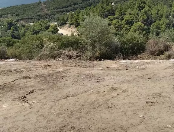 Land In Sithonia, Greece