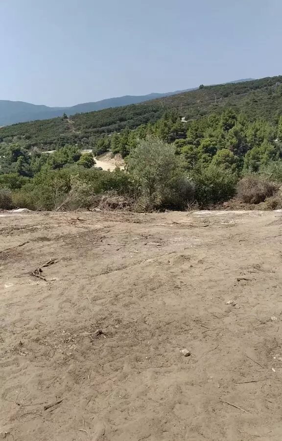 Land In Sithonia, Greece