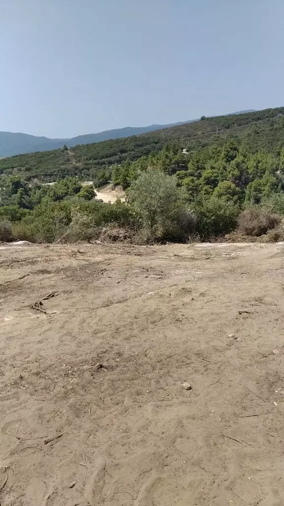 Land In Sithonia, Greece