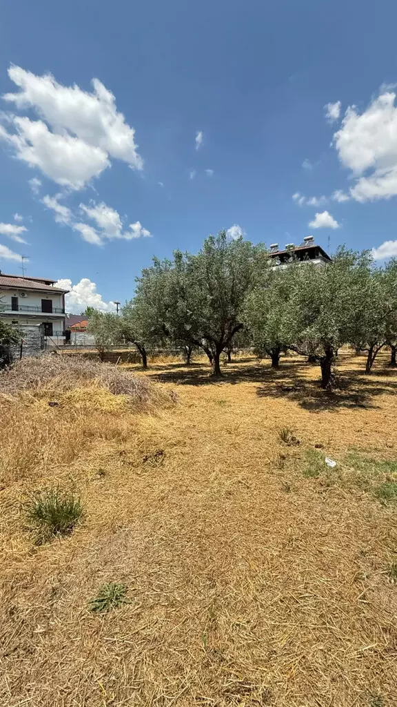 2-bedroom Detached House In Katerini, Greece (80 M²)