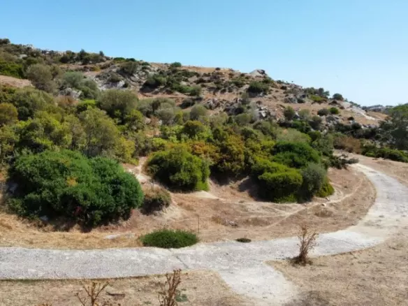 Land In Sithonia, Greece