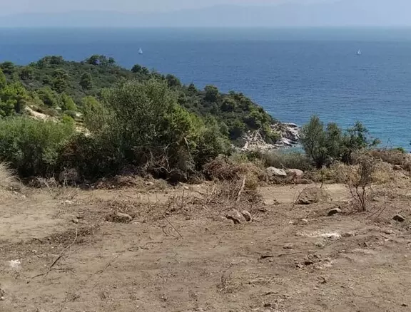 Land In Sithonia, Greece