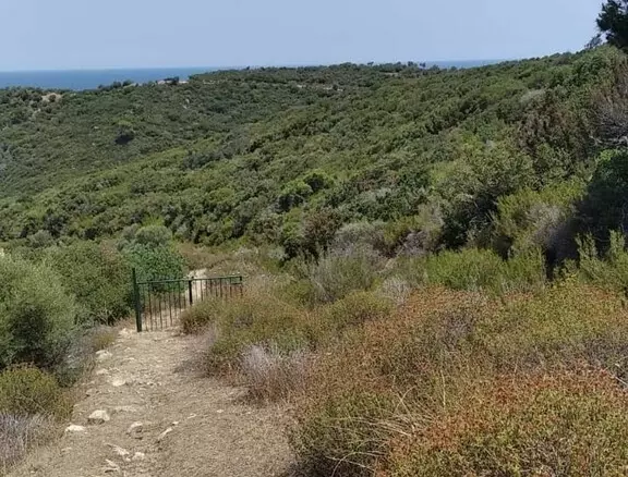 Land In Sithonia, Greece