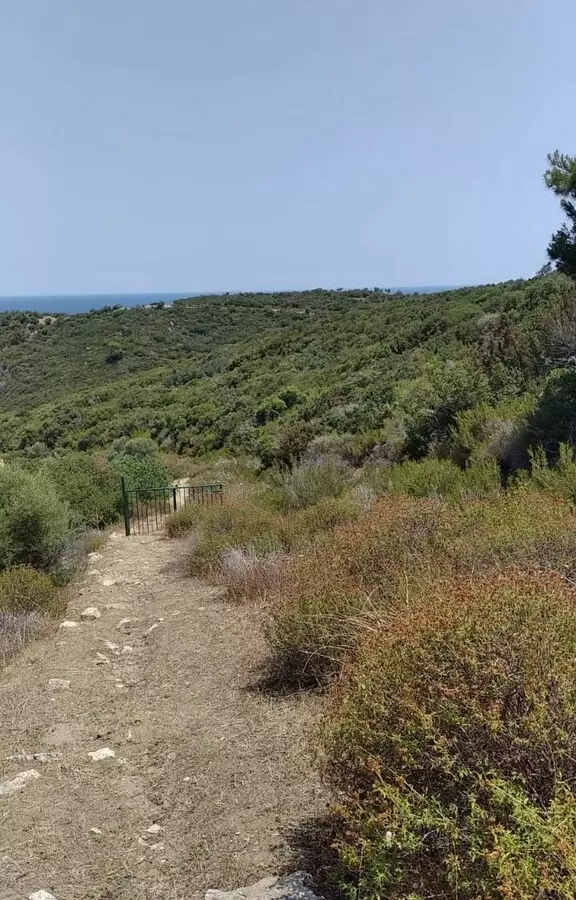 Land In Sithonia, Greece