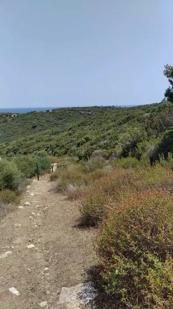 Land In Sithonia, Greece