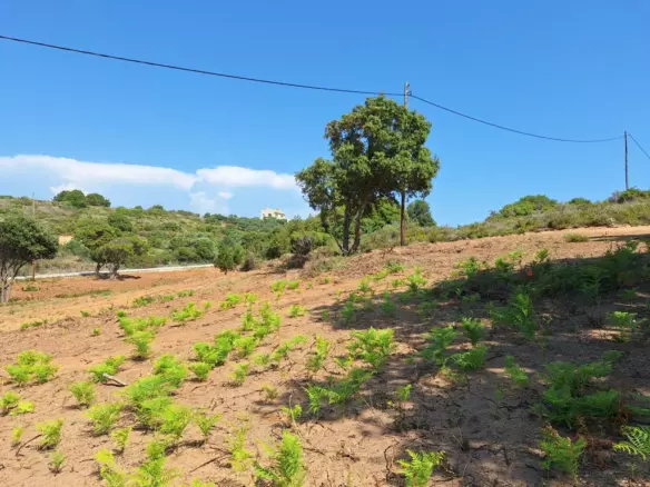 Land In Corfu, Greece