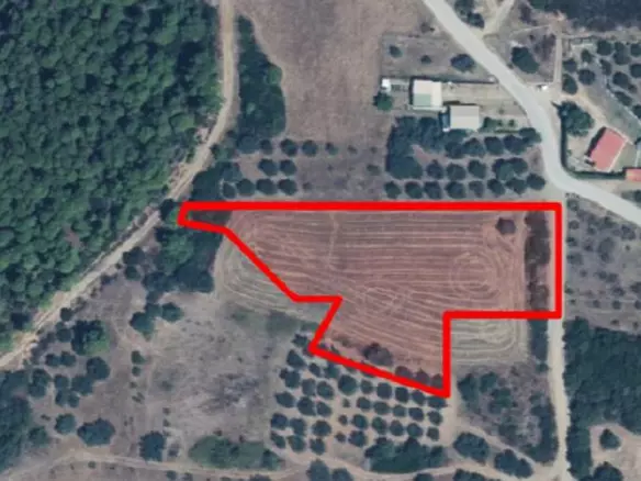 Land In Aristotle, Greece