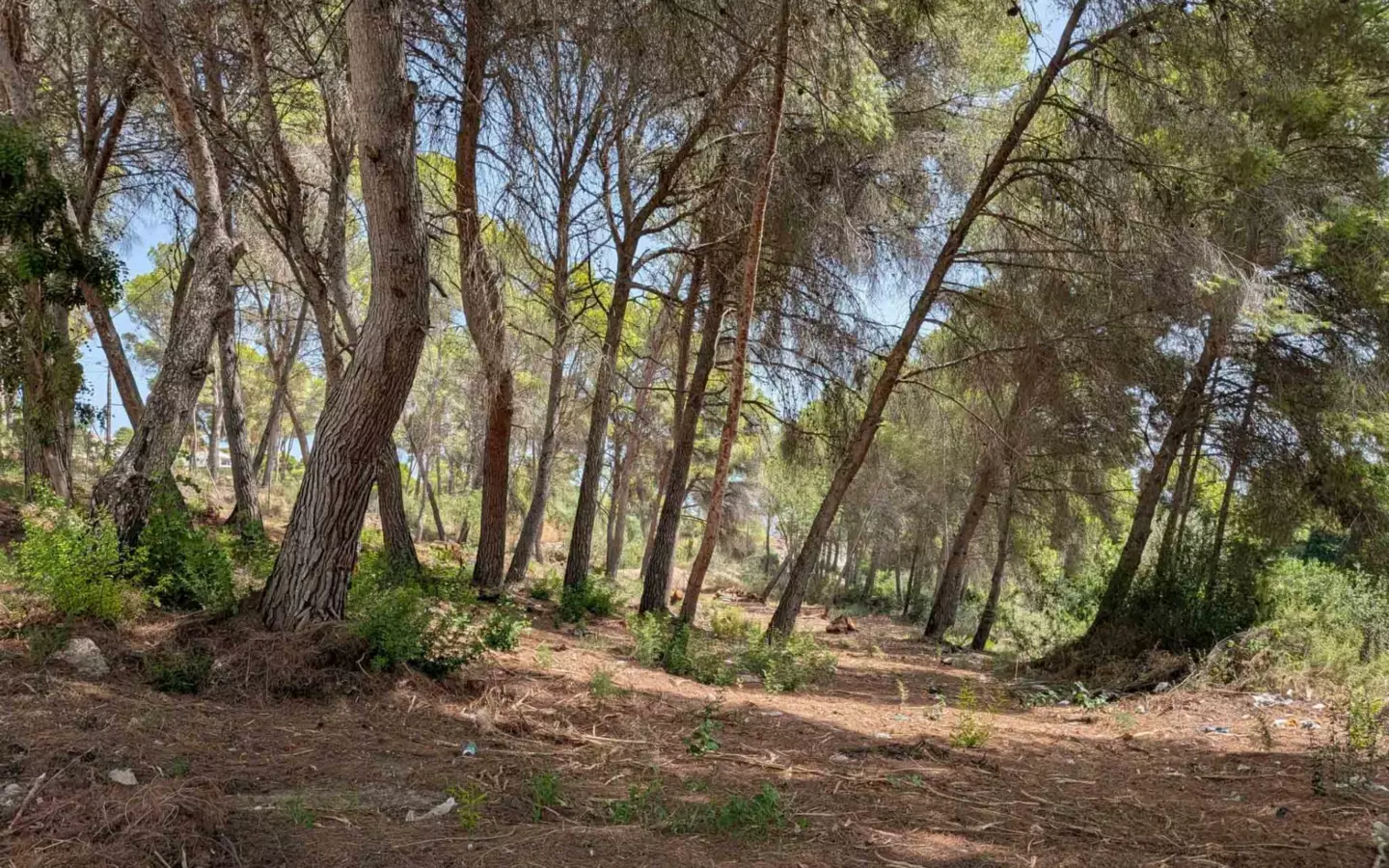 Plot In Moraira, Spain (2.503 M² Plot)