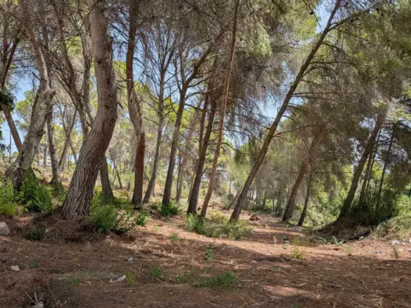 Plot In Moraira, Spain (2.503 M² Plot)