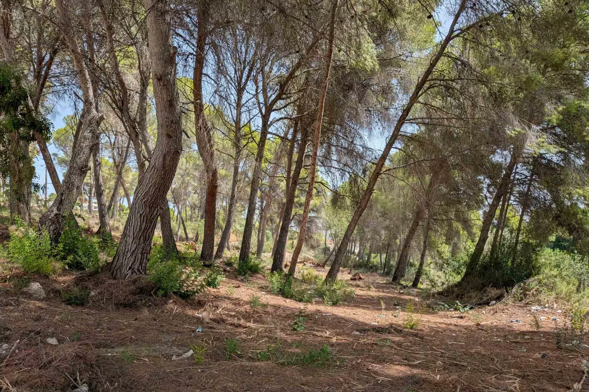 2-1-09657a Plot In Moraira, Spain (2.503 M² Plot)