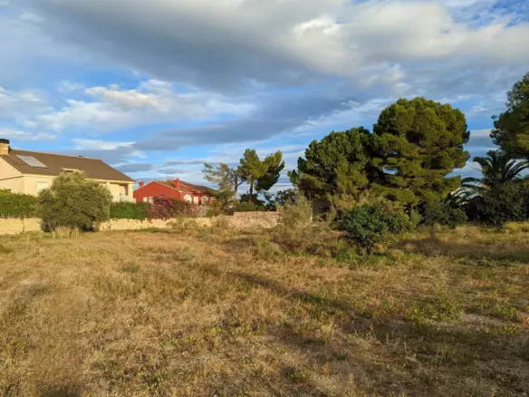 Plot In Denia, Spain (1.315 M² Plot)