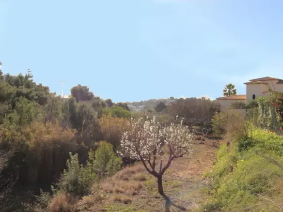 Plot In Benissa, Spain (800 M² Plot)