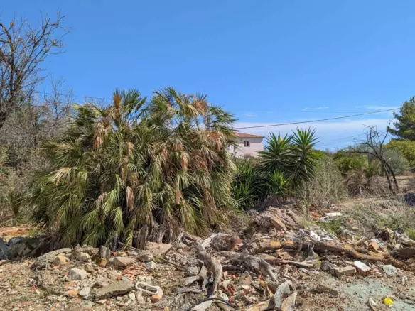 Plot In Denia, Spain (1.240 M² Plot)