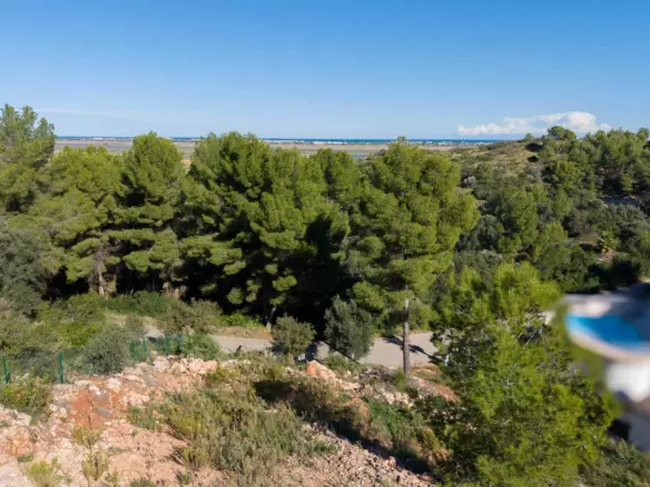 Plot In Pego, Spain (1.215 M² Plot)