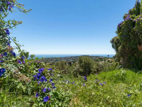 Plot In Moraira, Spain (800 M² Plot)