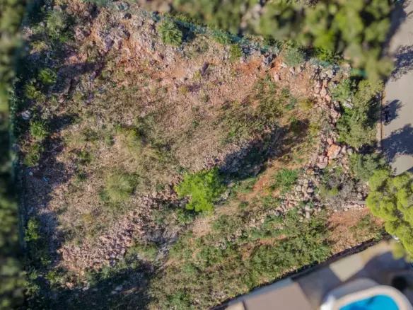 Plot In Pego, Spain (1.215 M² Plot)