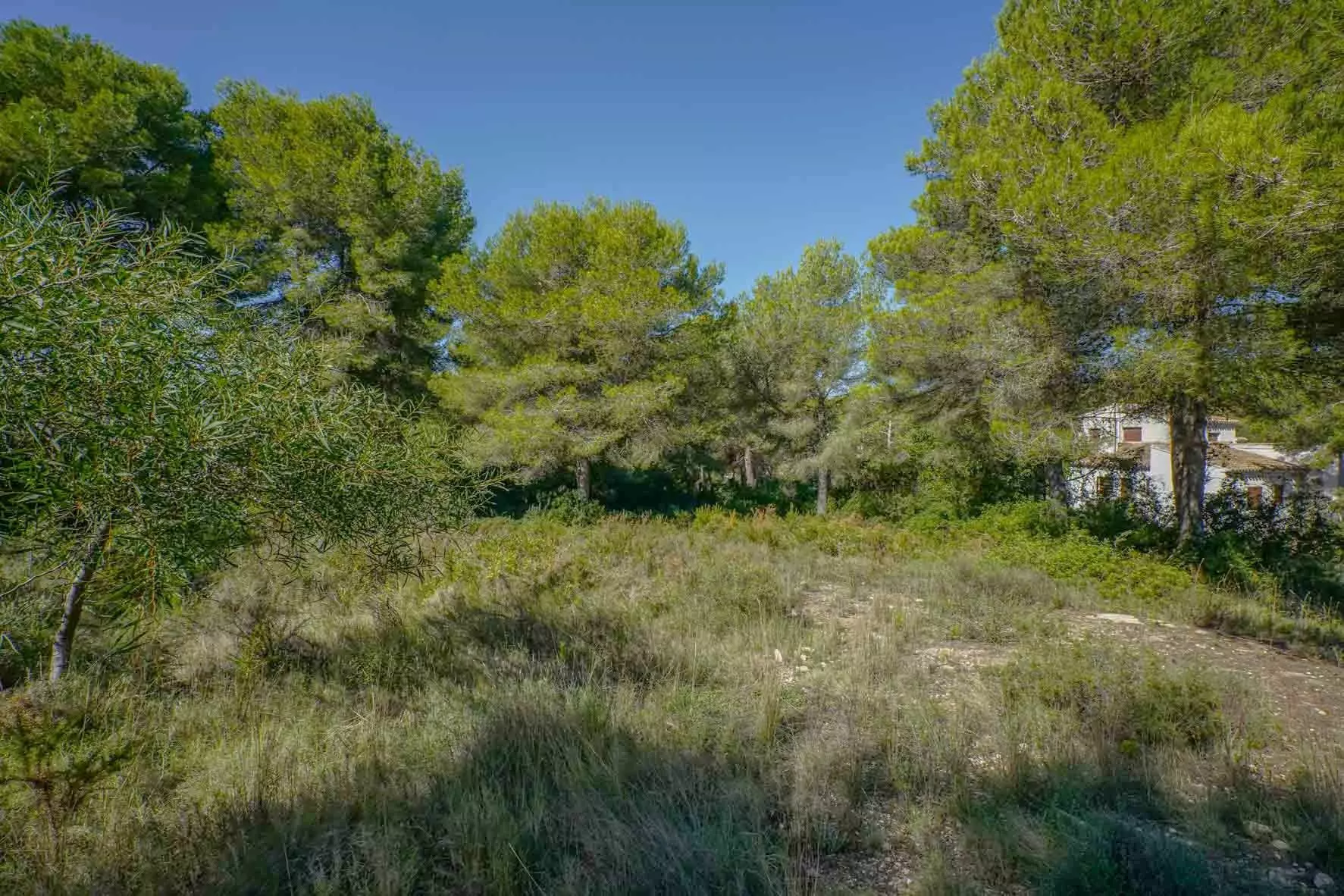 2-10-941441 Plot In Jávea – Xàbia, Spain (2.700 M² Plot)