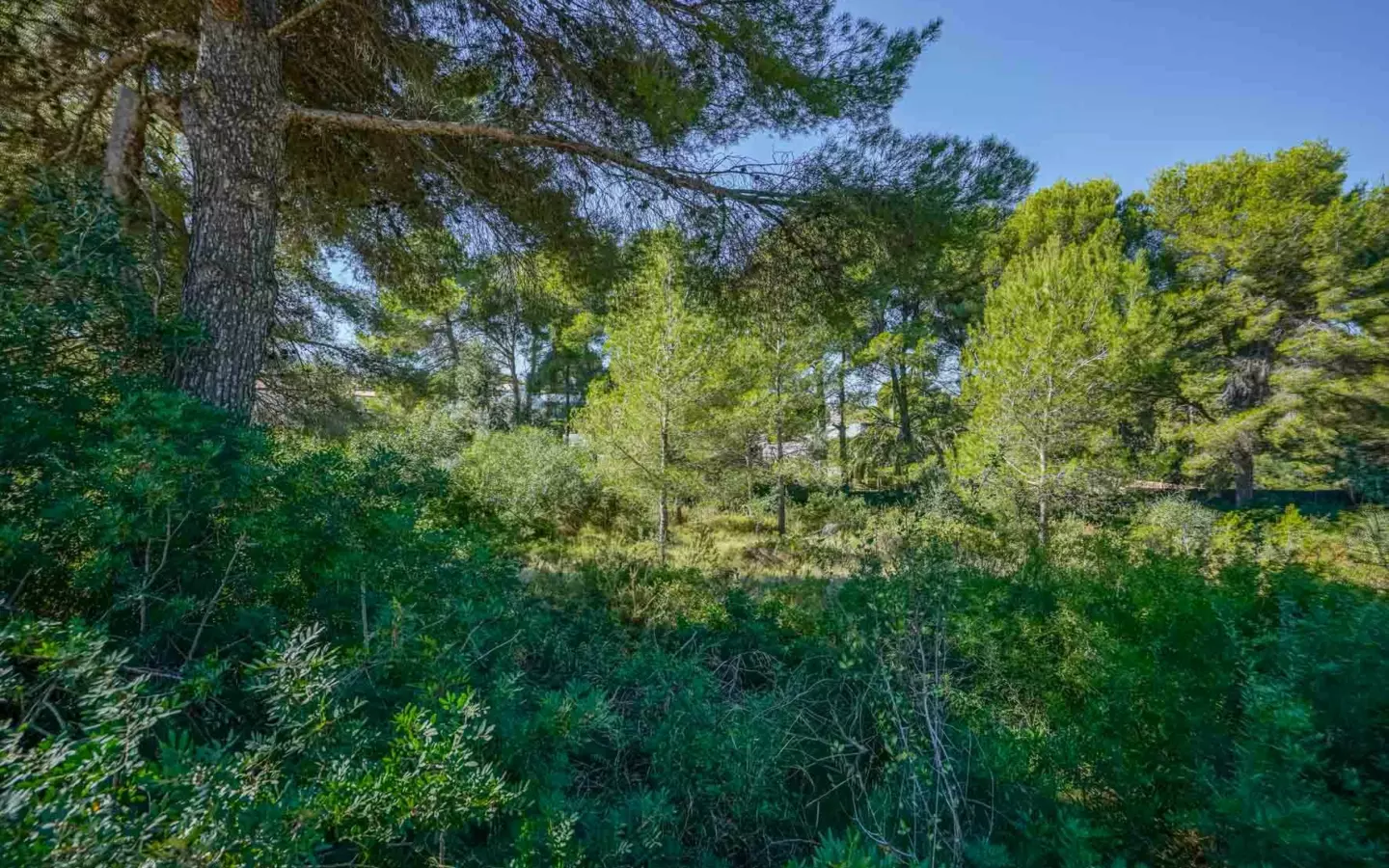 Plot In Jávea – Xàbia, Spain (2.700 M² Plot)