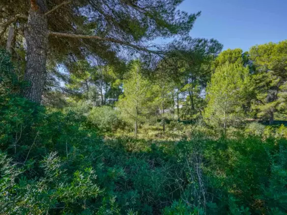 Plot In Jávea – Xàbia, Spain (2.700 M² Plot)