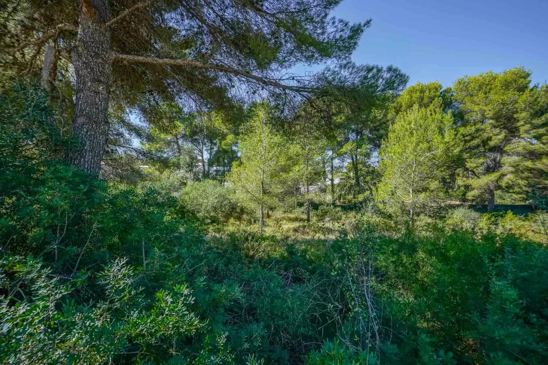 2-11-0cabc1 Plot In Jávea – Xàbia, Spain (2.700 M² Plot)