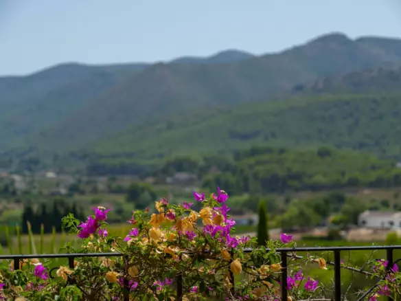 5-bedroom Villa In Jalon – Xalo, Spain (229 M²)