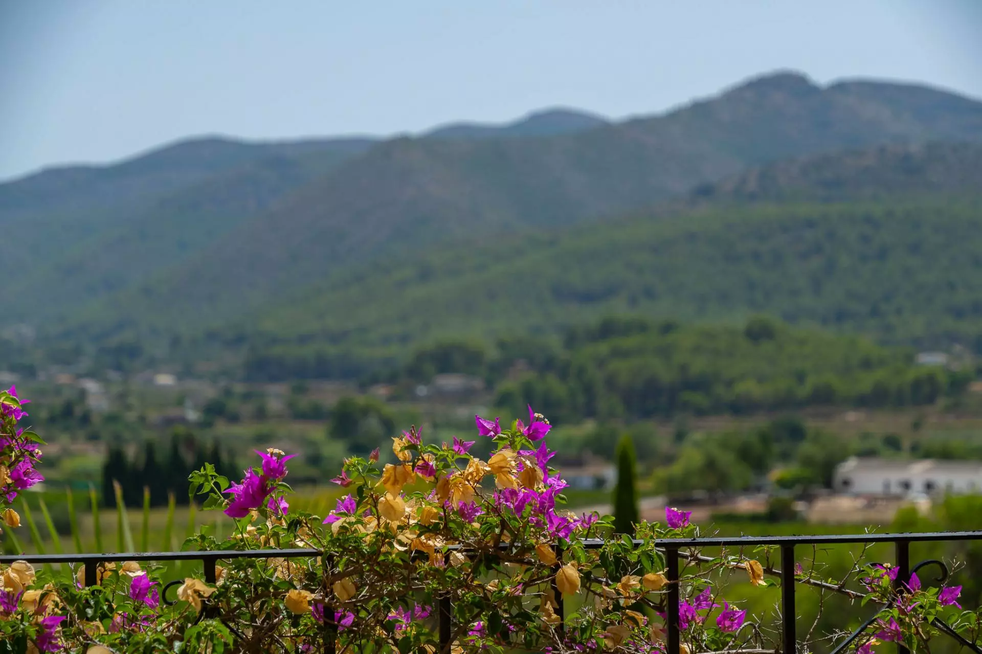 5-bedroom Villa In Jalon – Xalo, Spain (229 M²)