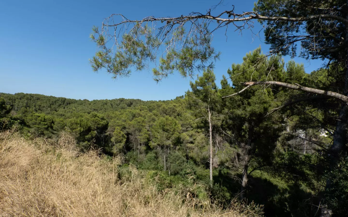 Plot In Jávea – Xàbia, Spain (1.100 M² Plot)