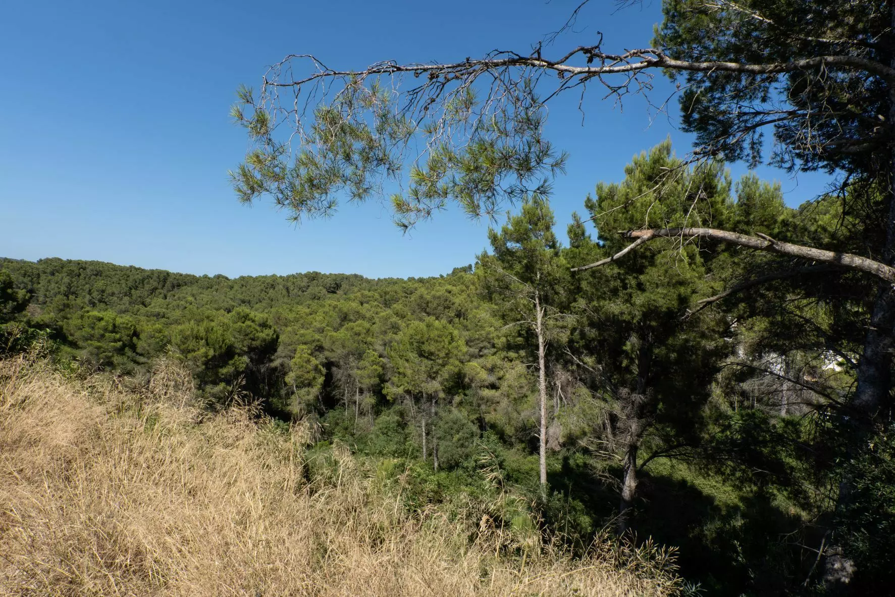 2-11-c00395 Plot In Jávea – Xàbia, Spain (1.100 M² Plot)