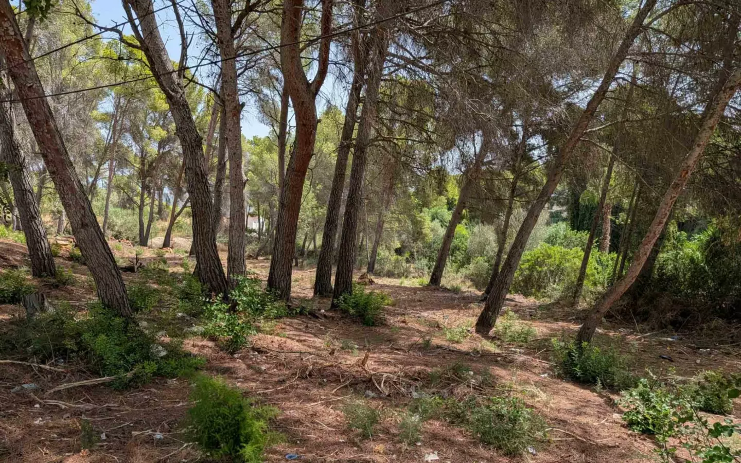 Plot In Moraira, Spain (2.503 M² Plot)